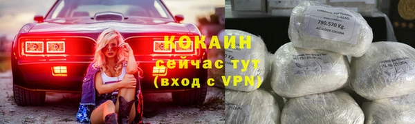 шишки Володарск