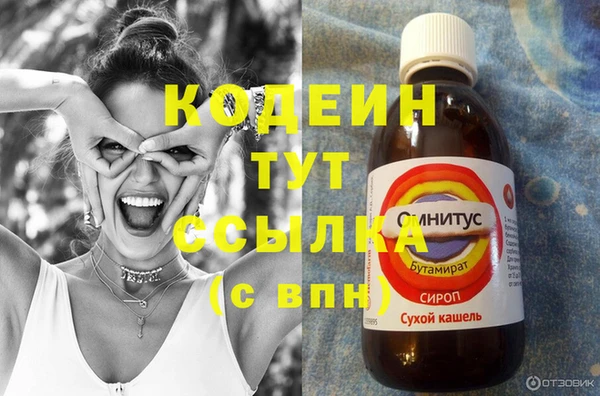 ешки Гусев