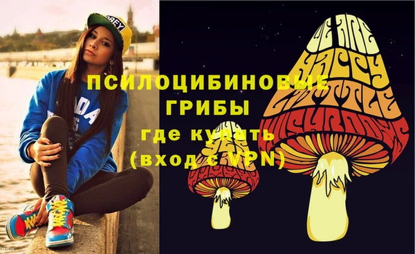 синтетический гашиш Гусиноозёрск