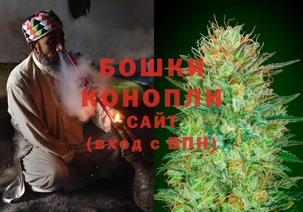 ешки Гусев