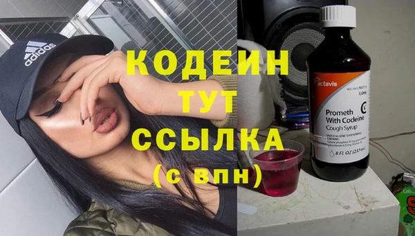 ешки Гусев