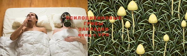 спиды Гусь-Хрустальный