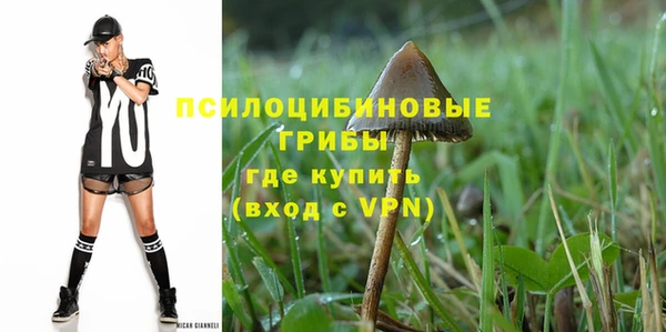 ешки Гусев